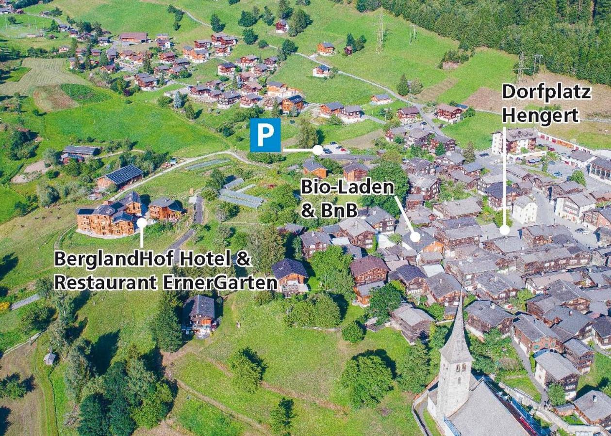 BerglandHof Hotel Ernen Eksteriør billede